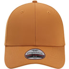Buckthorn Brown