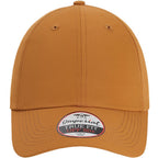 Buckthorn Brown